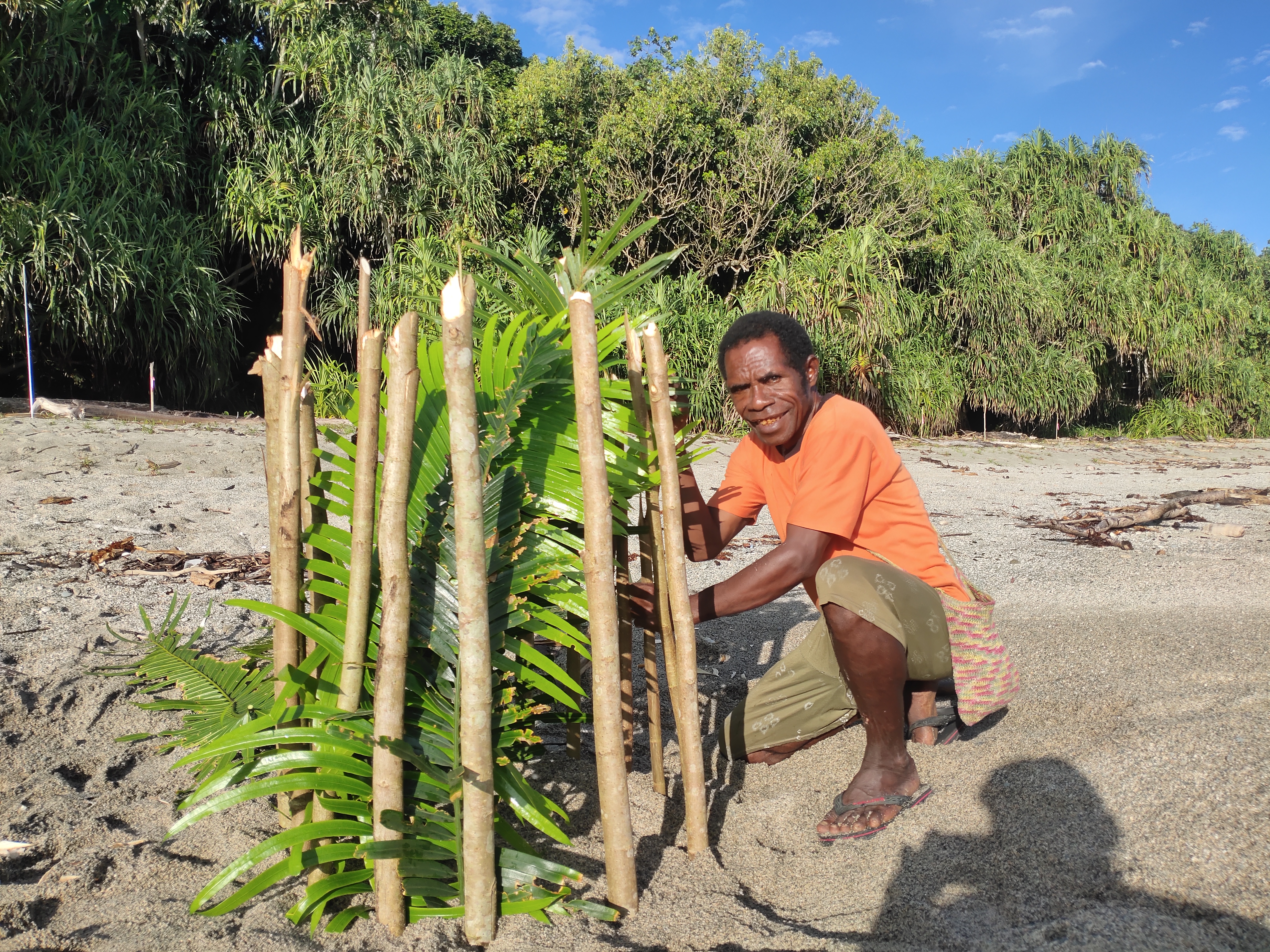 A local patroller protected a leatherback nest threatened by high sand temperatures and predators using fern leaves and an enclosure © S4C LPPM UNIPA