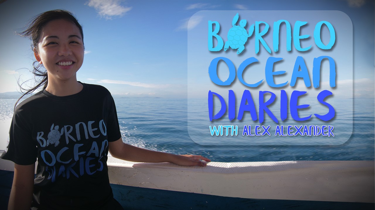 Borneo Ocean Diaries © Scubazoo