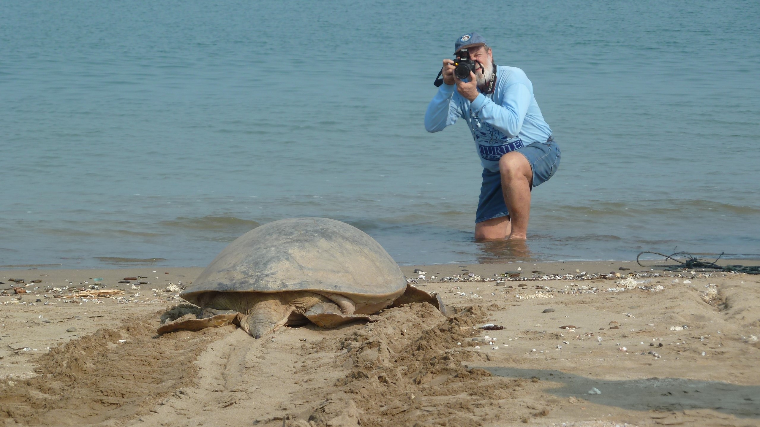 Dr Col Limpus - recording green turtle nesting on Diamond Island, Myanmar, in 2012