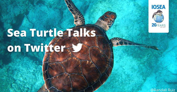 Twitter Sea Turtle Talks