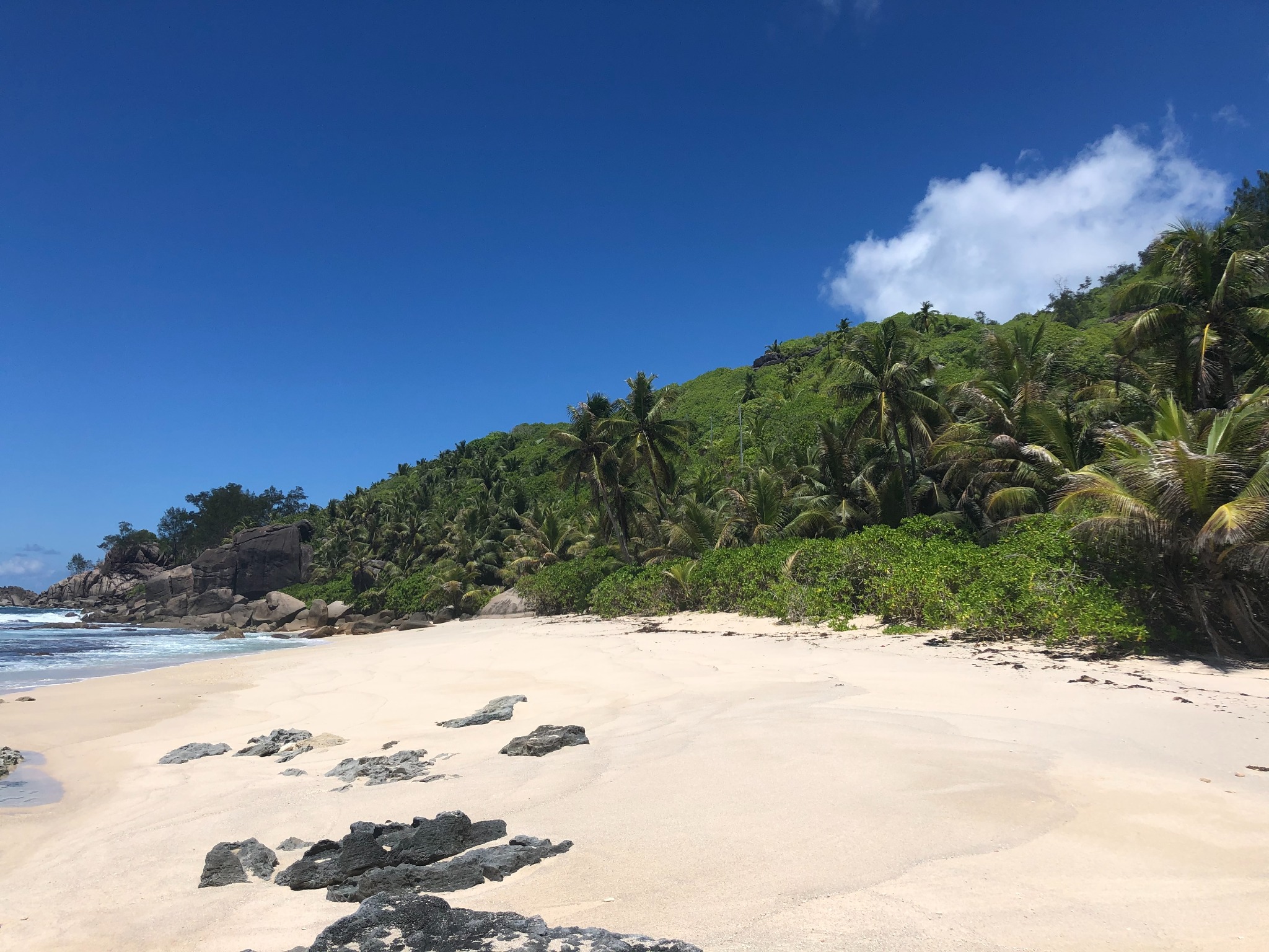 Photo of a nesting beach