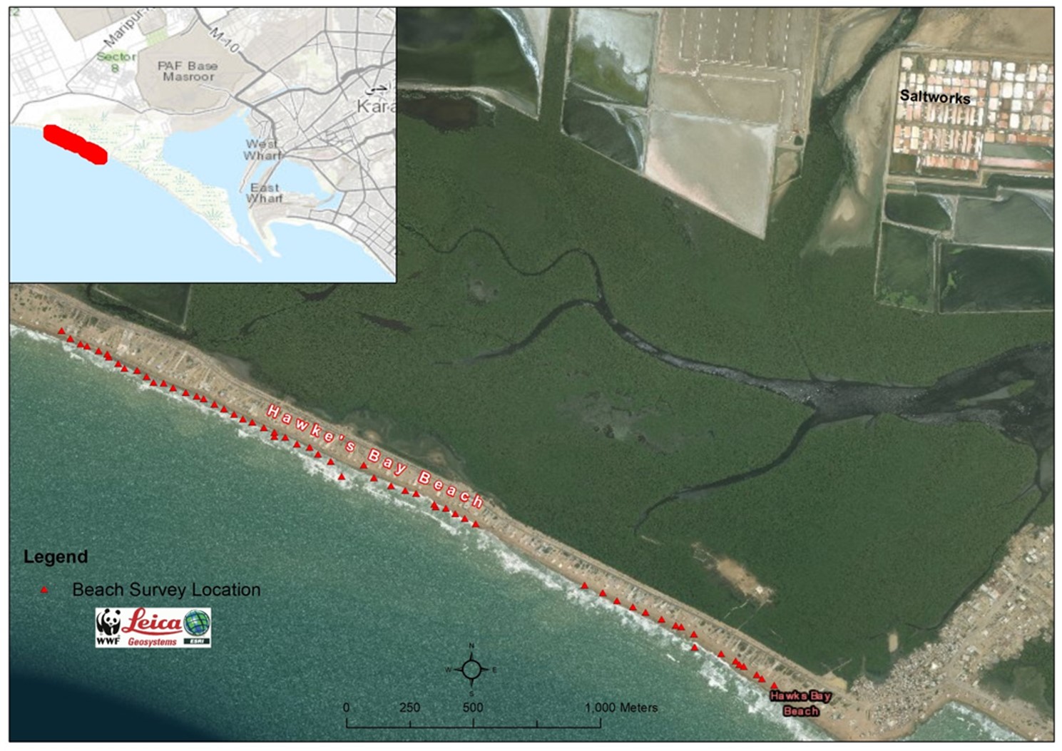 Figure A:  GIS map showingHawkse bay turtle nesting beach and data collection points in red arrows © Muhammad Faisal, IMS-UoK
