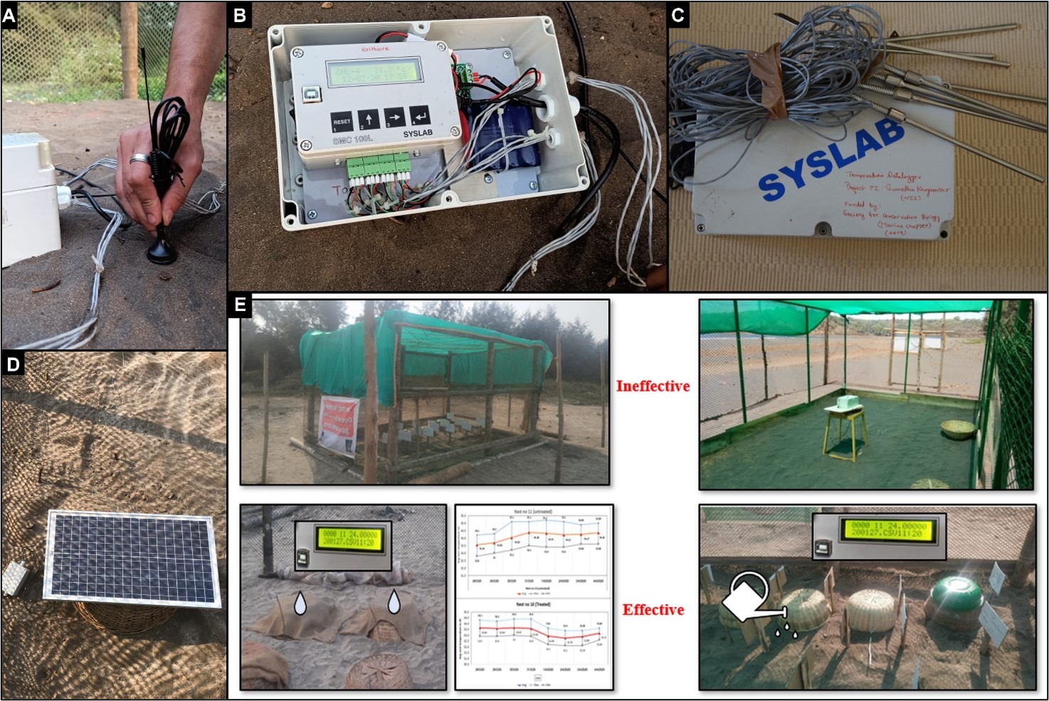 A-D) Components of datalogger unit E) Different methods to lower the incubation temperature of the nest. The top images are that of hatcheries having shade nets. However, the shade nets have proved ineffective in lowering the temperature. The bottom left image is of the nests having the incubation temperature below the threshold by keeping wet jute bags over the cane basket on the nest. The bottom right image shows the practical method of sprinkling water near the nests inside the hatchery. © S. Korgaonkar