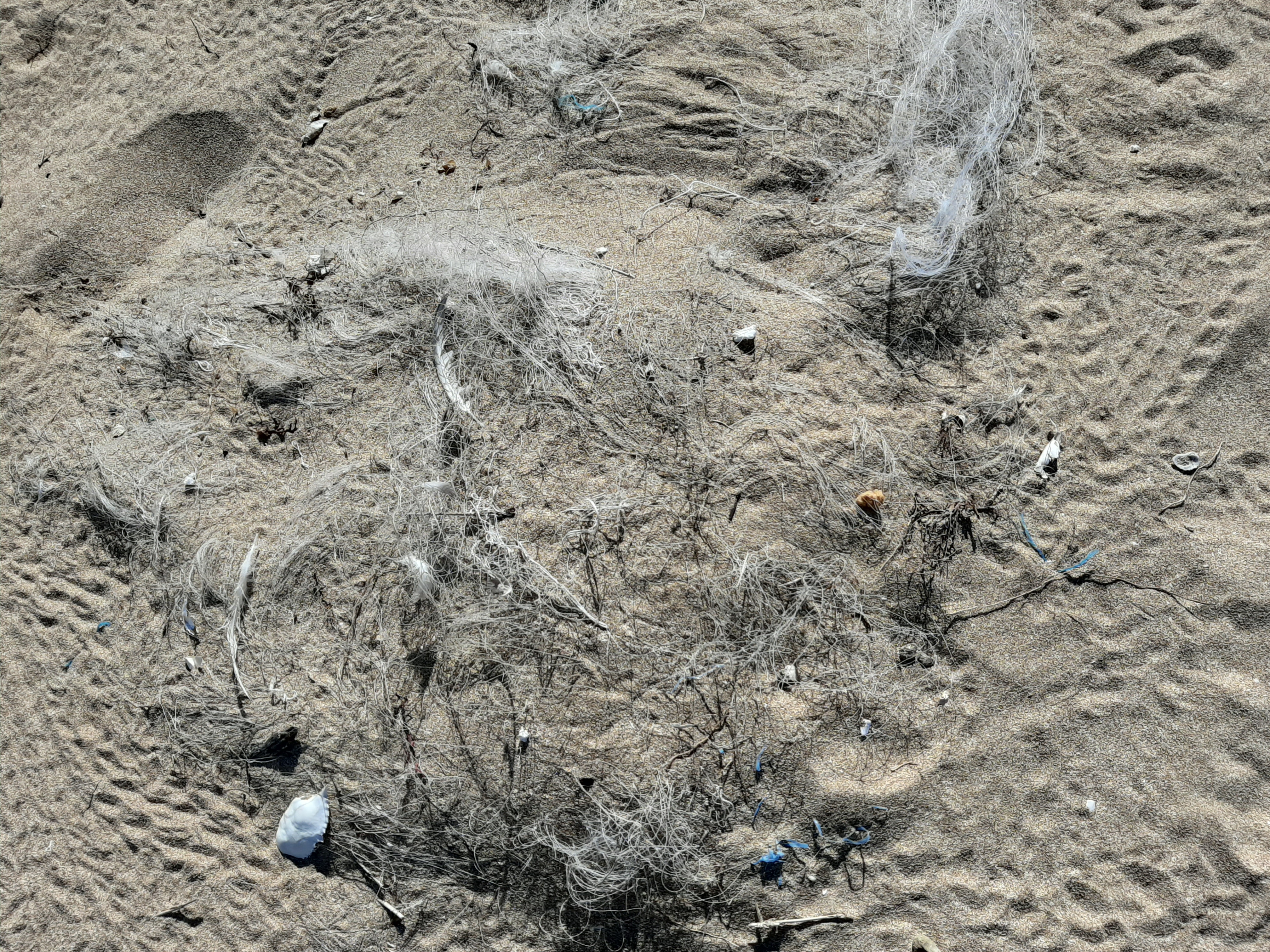 Ghost gear and tracks of green turtle hatchlings © WWF Pakistan