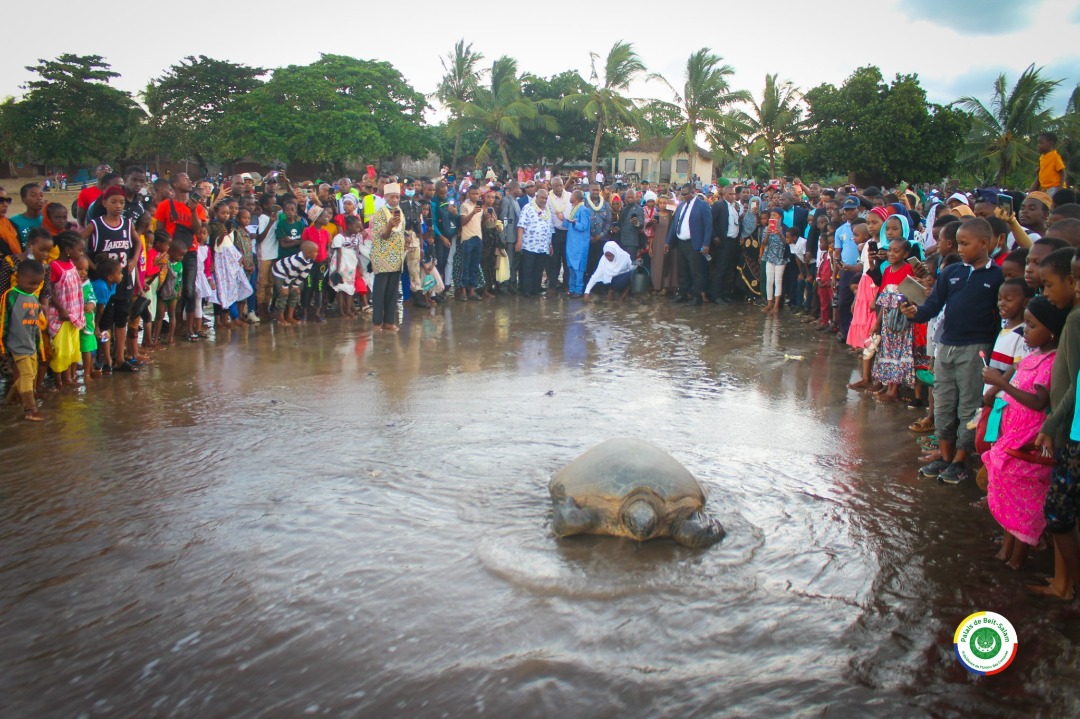 Turtle release at Itsamia beach © Présidence Beit-Salam