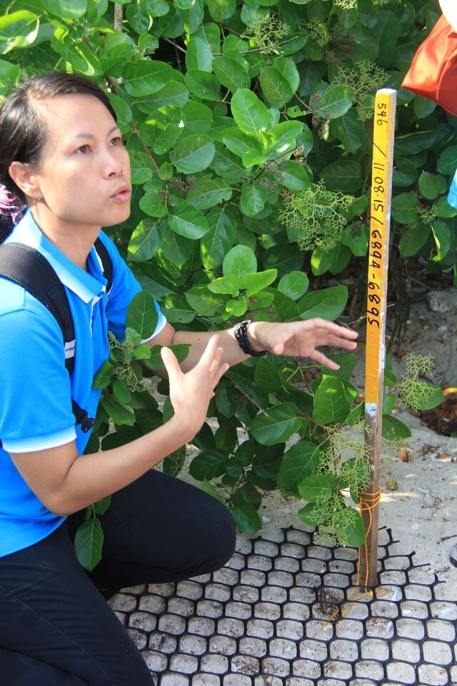 Field worker at Chagar Hutang