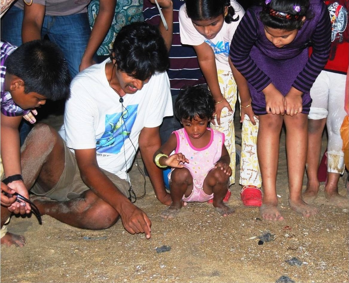 Children looking at hatchlings