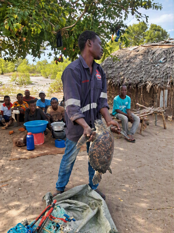 Rescued sea turtle from poachers during patrol activity