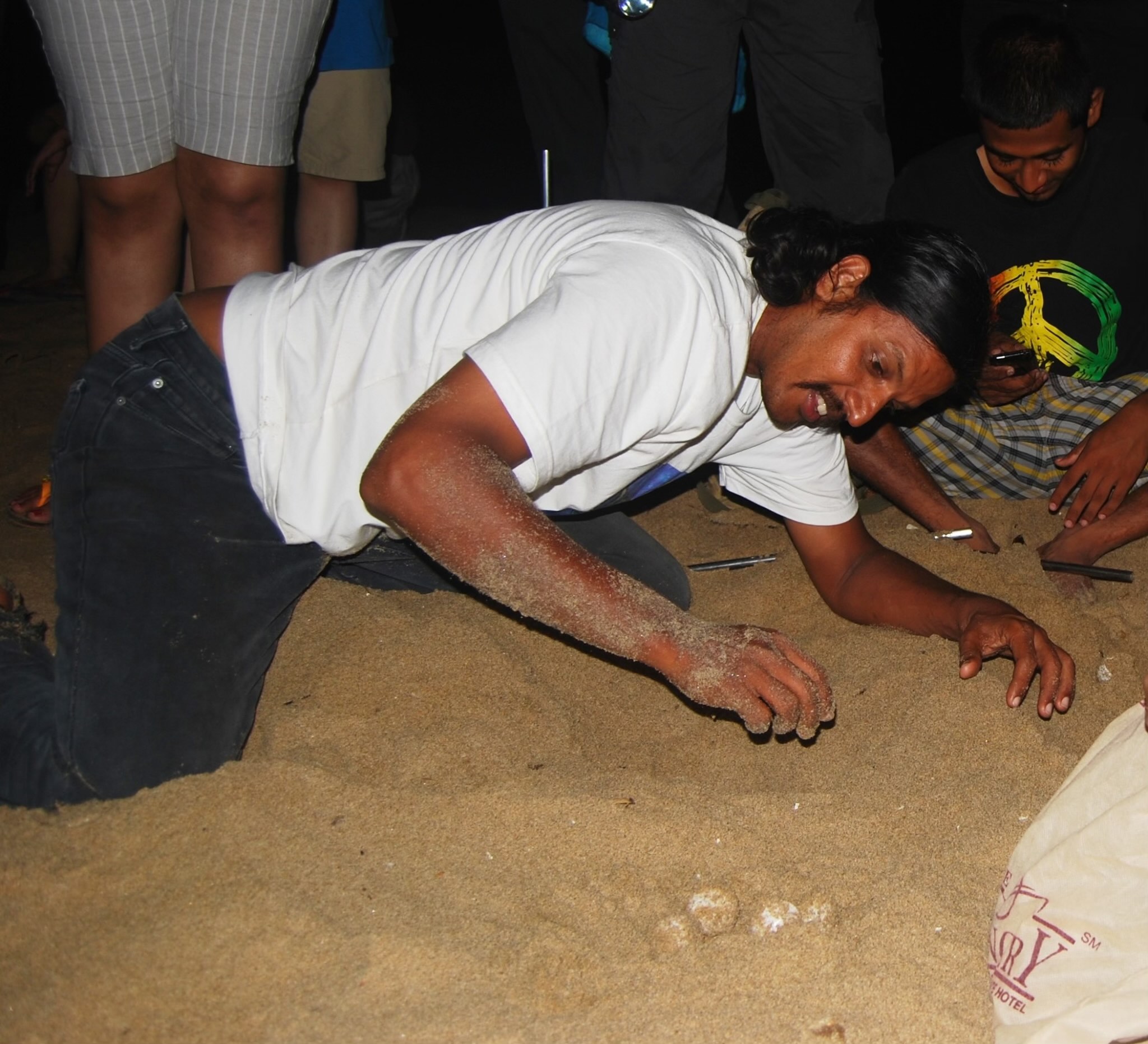 Arun V. digging up turtle eggs