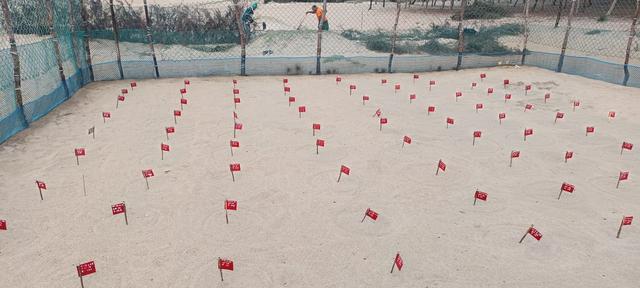 Nests in hatchery marked with red flags