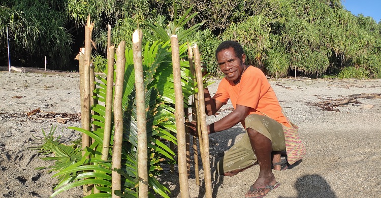 A local patroller protected a leatherback nest threatened by high sand temperatures and predators using fern leaves and an enclosure © S4C LPPM UNIPA