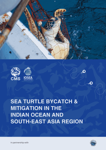 Sea Turtle Bycatch Report Cover