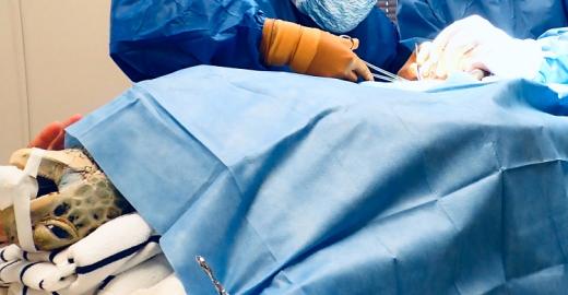 Surgery © Ashley Isaac