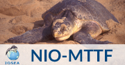 NIO-MTTF